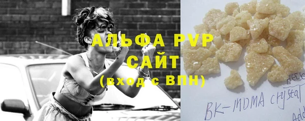 гидра Бородино