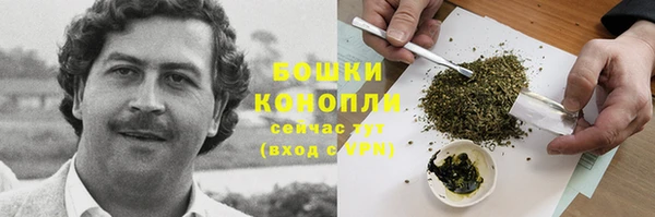спиды Бронницы