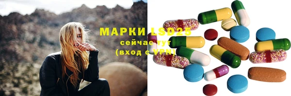 гидра Бородино