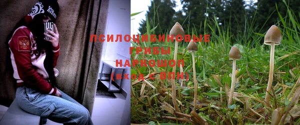 спиды Бронницы