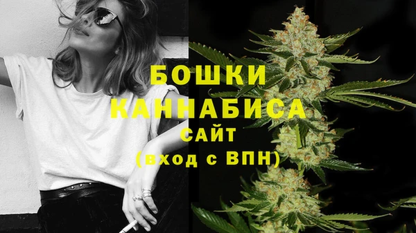 гидра Бородино