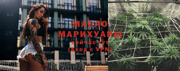 гидра Бородино