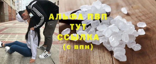 сатива Бугульма