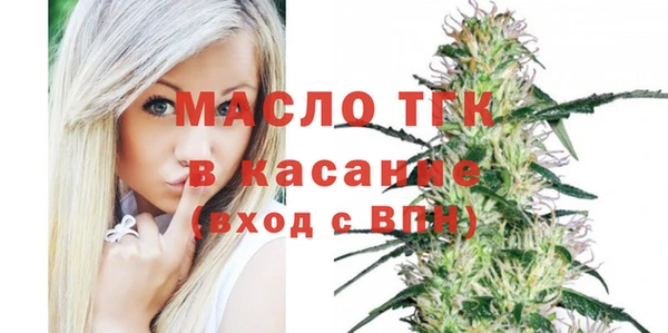 гидра Бородино