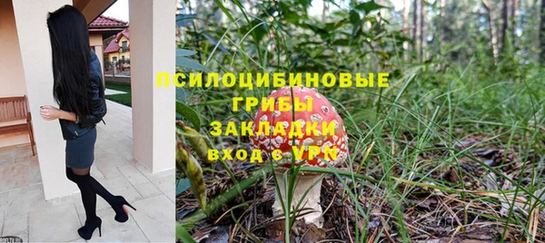 сатива Бугульма