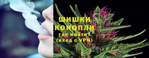спиды Бронницы